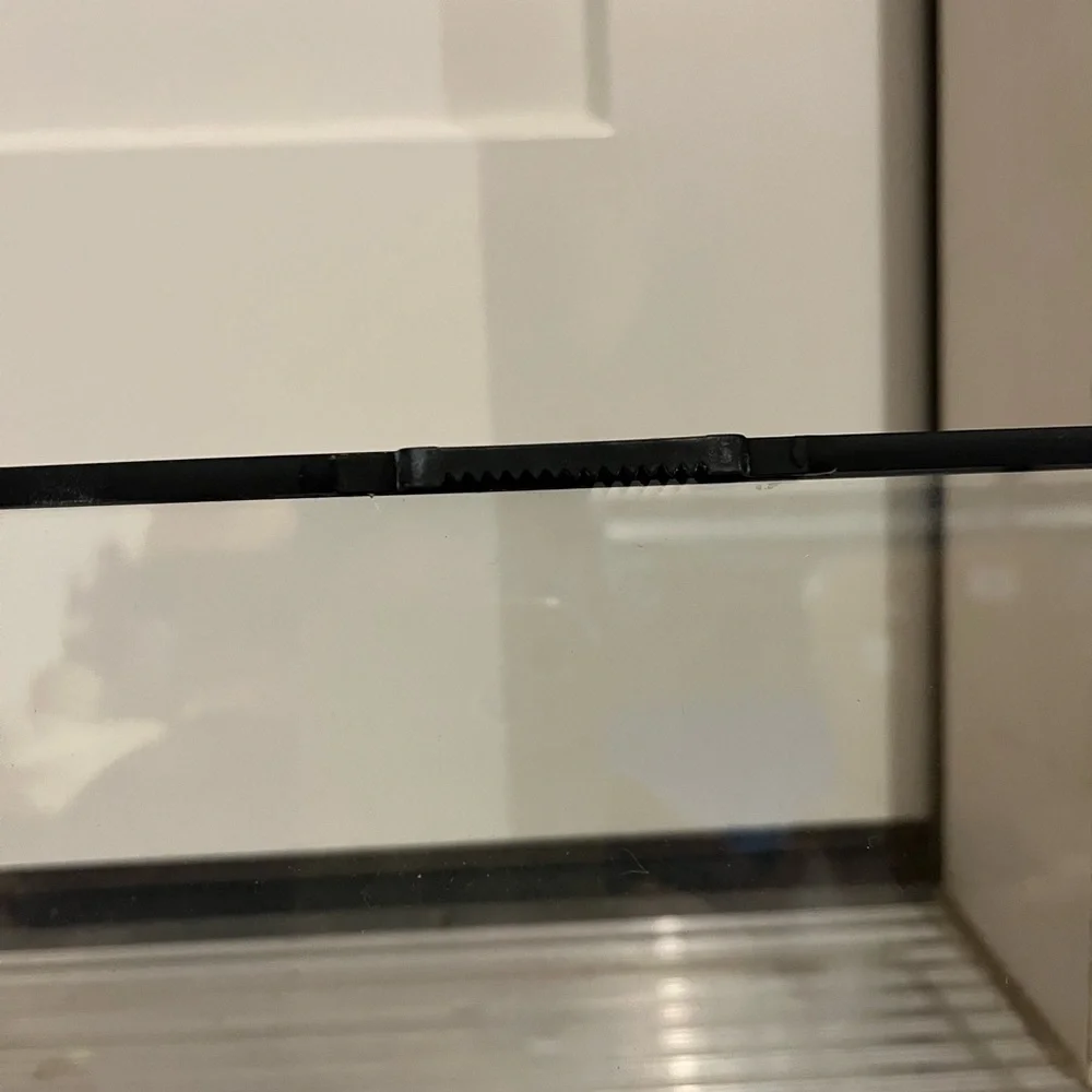 Black Floating Frames - West Elm